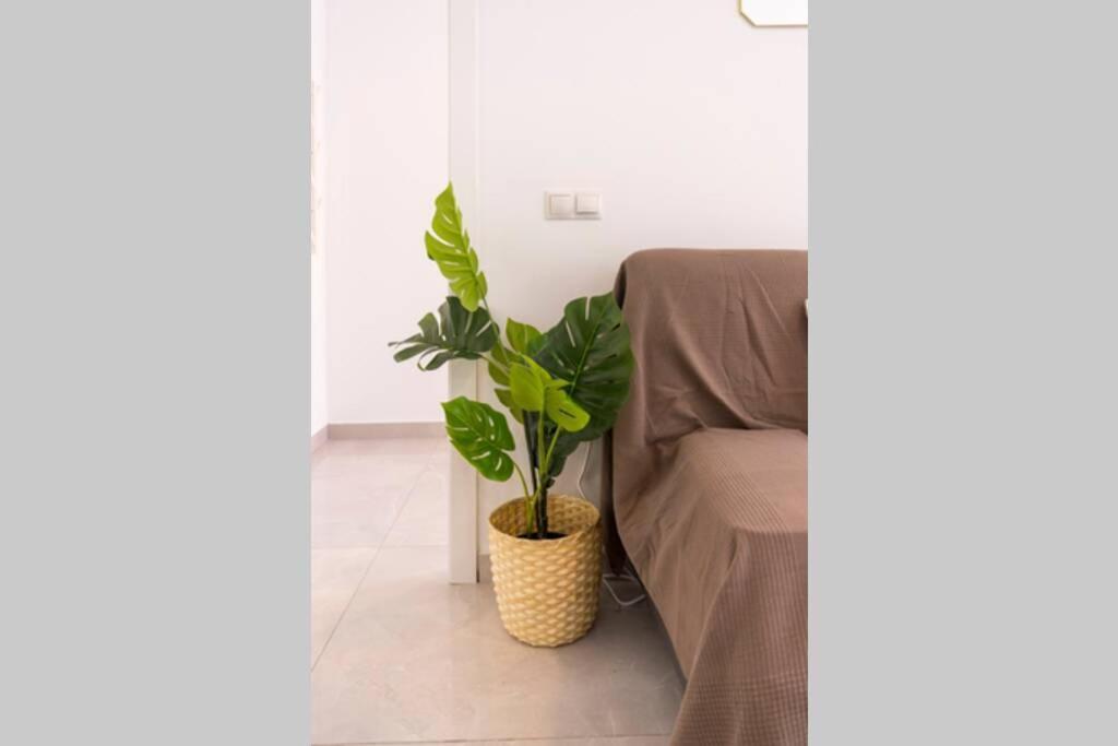 Tgh/ Victoria Green Center 1A Malaga Bagian luar foto